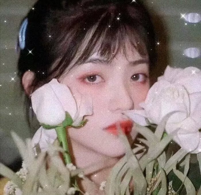 追影